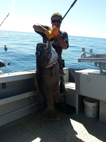 20130411 122856 Small